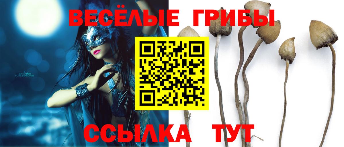 Псилоцибиновые грибы MAGIC MUSHROOMS Златоуст